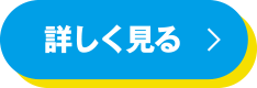 詳しく見る