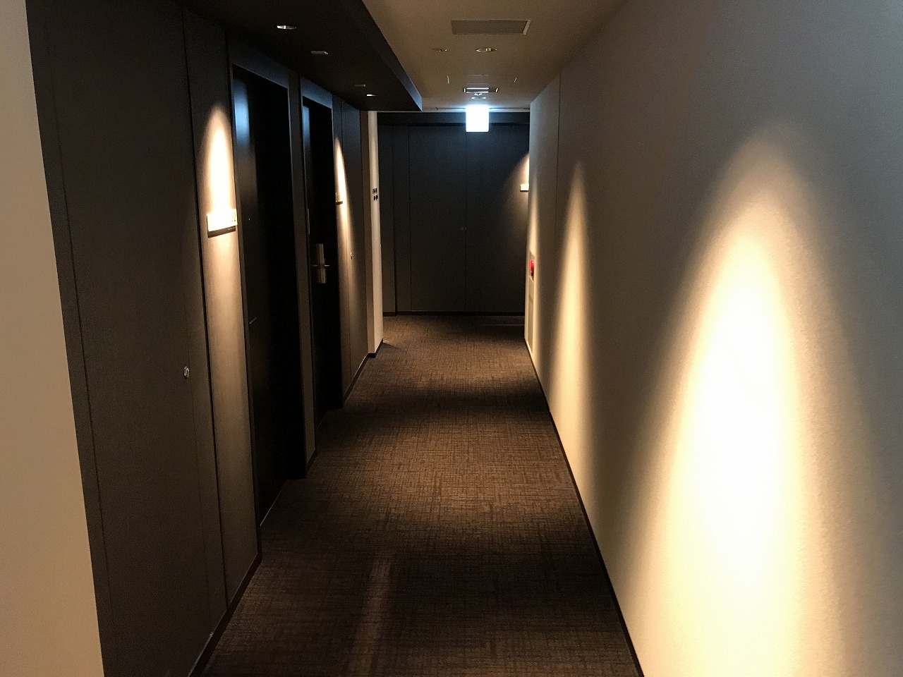 京都市中京区　ホテル内装・共用部リニューアル工事