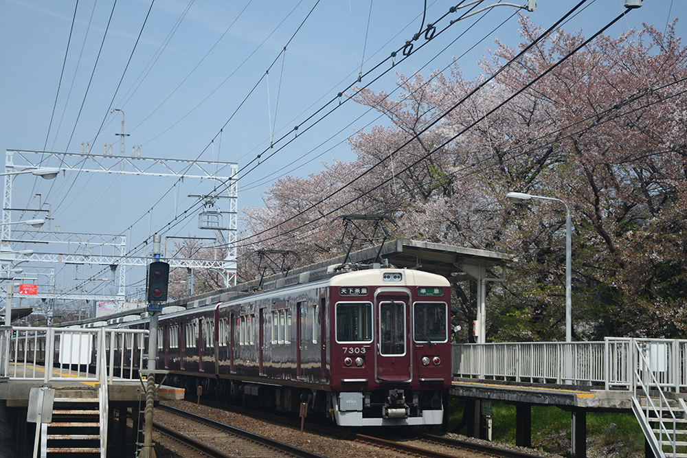 向日市の補助金