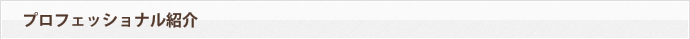 プロフェッショナル紹介